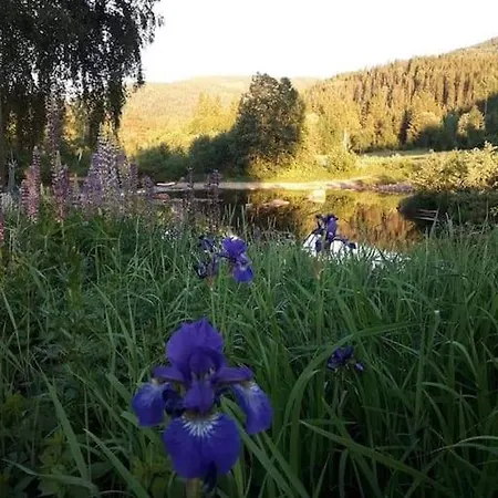 בית נופש Tangen The Place To In Telemark *