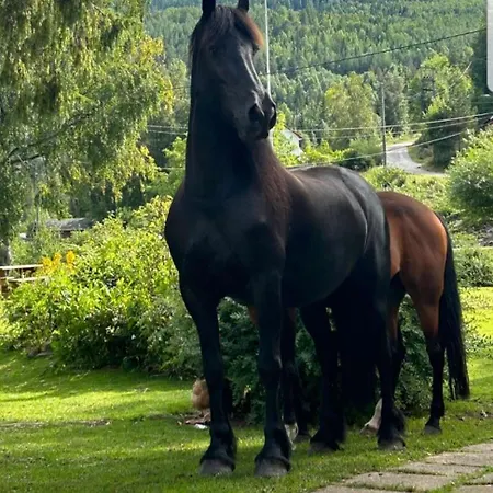 בית נופש Tangen The Place To In Telemark Brosdal