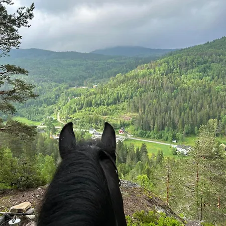 Ferienhaus Tangen The Place To In Telemark