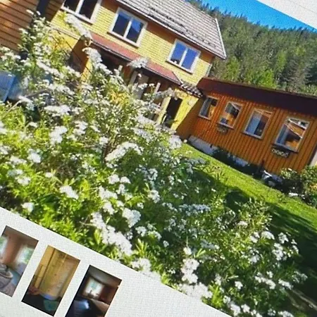 Tangen The Place To In Telemark