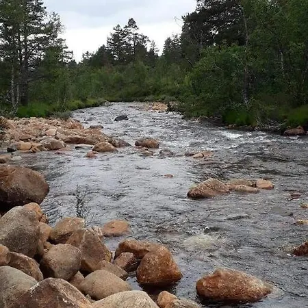 Casa vacanze Tangen The Place To In Telemark *