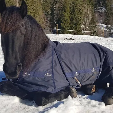 Tangen The Place To In Telemark Brosdal