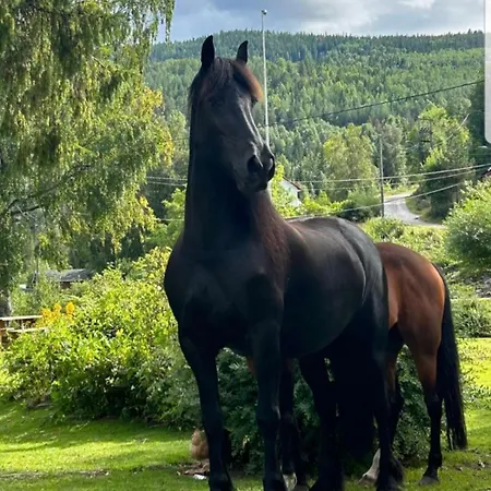 Tangen The Place To In Telemark Brosdal