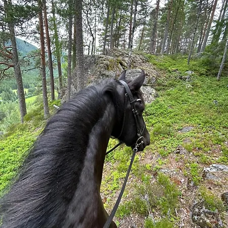 Casa vacanze Tangen The Place To In Telemark *