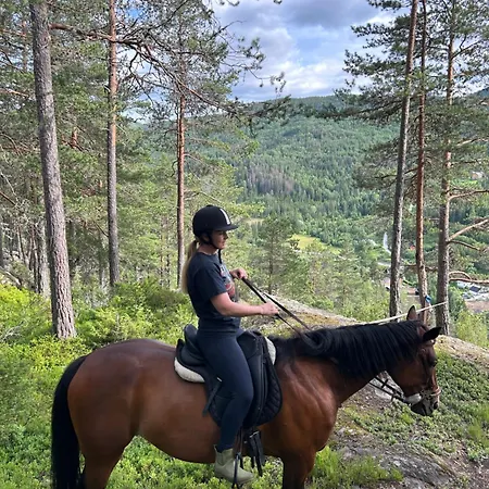 Tangen The Place To In Telemark *